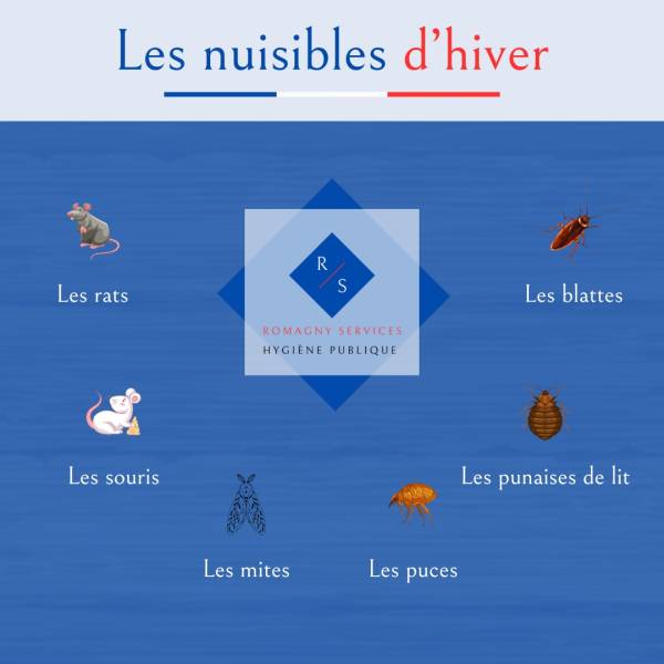 Les nuisibles en hivers