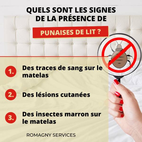 Traces de Punaise de lit 