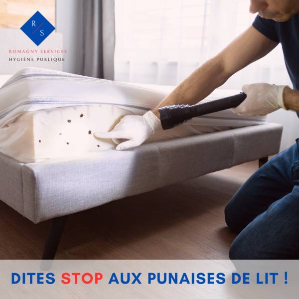 OU SE CACHE LES PUNAISES DE LIT 