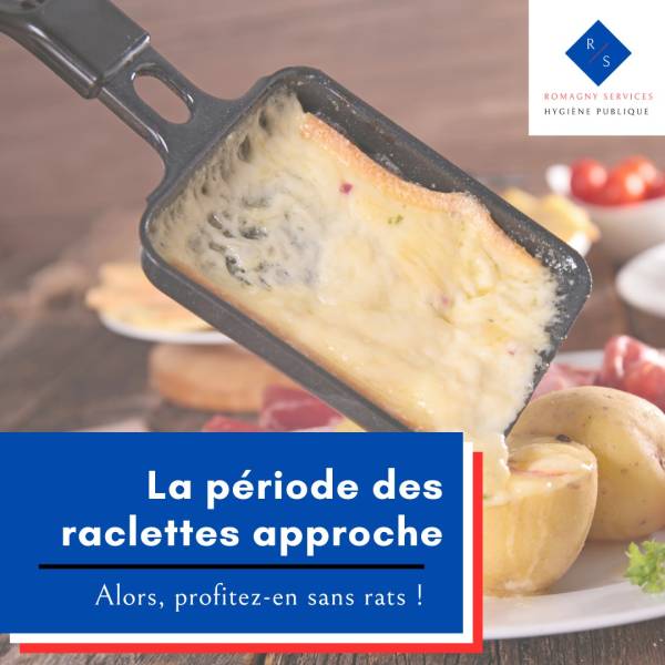 SOURIS ET FROMAGE