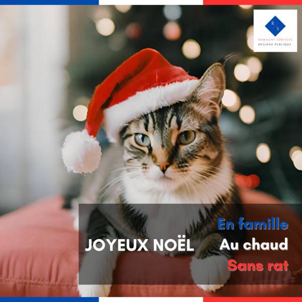 Les rats a Noel 