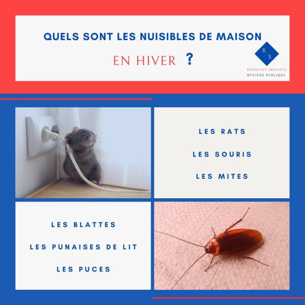 Ou se cache les blattes 