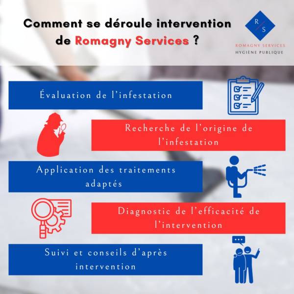 PROTOCOLE DERATISATION 