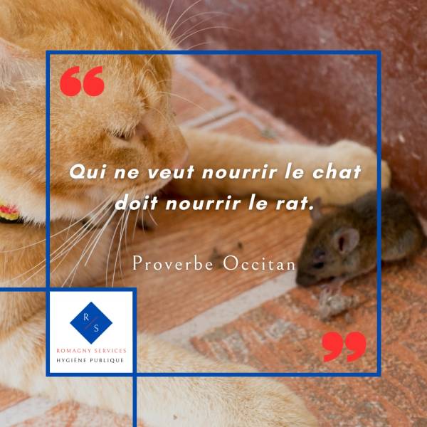 Qui nourrit les rats 