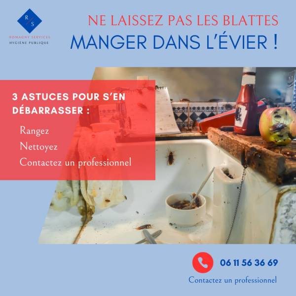 Comment éviter les blattes 