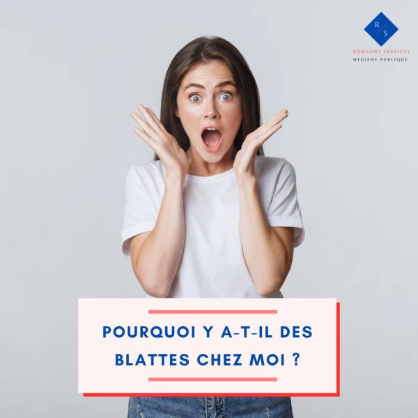 Pourquoi j'ai des blattes chez moi