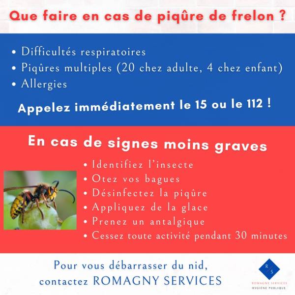 Frelon 