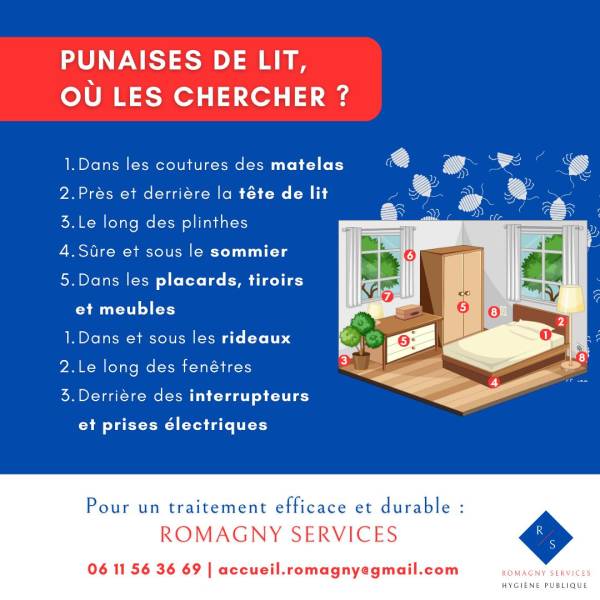 Ou chercher les punaises de lit 