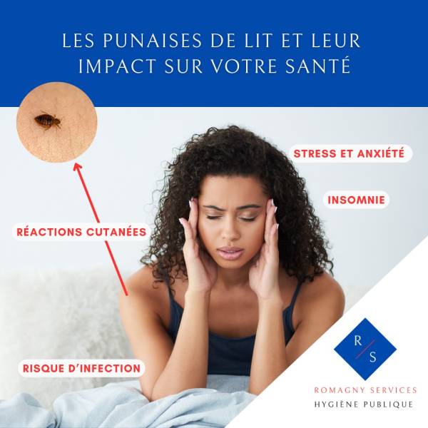 Traitement punaises de lit