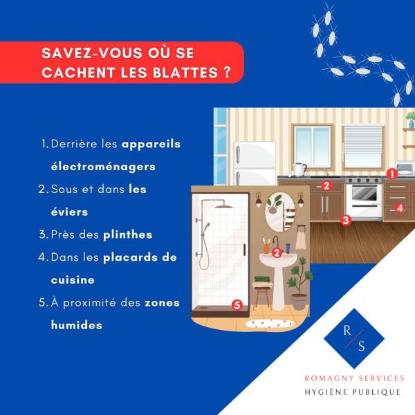 Ou se cache les blattes 