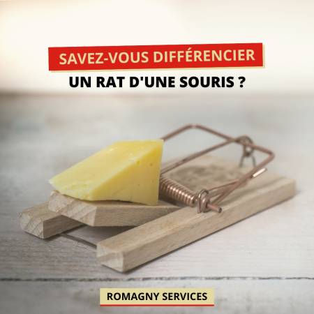 Nos prestations sur le secteur de Valence dans la Drôme 26