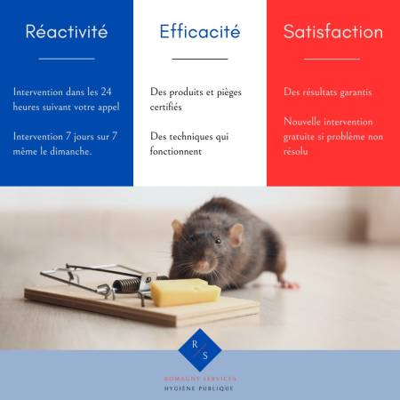 Notre zone d'activité pour ce service Traitement professionnel contre les rongeurs nuisibles par piégeage et appâts rapide et durable à