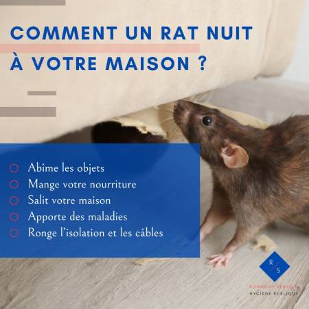 Notre zone d'activité pour ce service Mettre en œuvre des solutions de dépigeonnage complètes en installant filets et pics adaptés sur structures variées pour éloigner durablement les oiseaux indésirables à