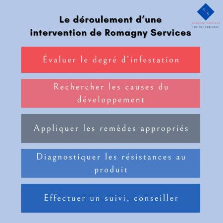 Notre zone d'activité pour ce service Traitement professionnel contre les rongeurs nuisibles par piégeage et appâts rapide et durable à