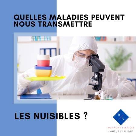 Notre zone d'activité pour ce service Traitement radical contre cafards et blattes dans les canalisations à