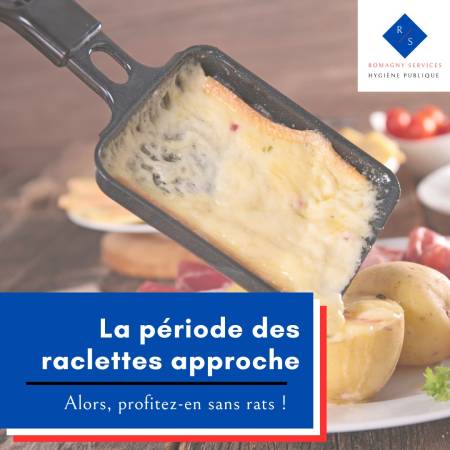 Notre zone d'activité pour ce service Mettre en place un traitement professionnel pour éliminer définitivement rats et souris dans une maison infestée à