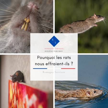 Nos prestations sur le secteur de Privas 07000 en Ardèche