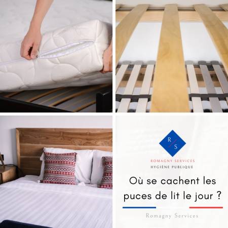 Notre zone d'activité pour ce service Traitement anti-fourmis dans une maison ou un local professionnel avec des produits spécifiques à