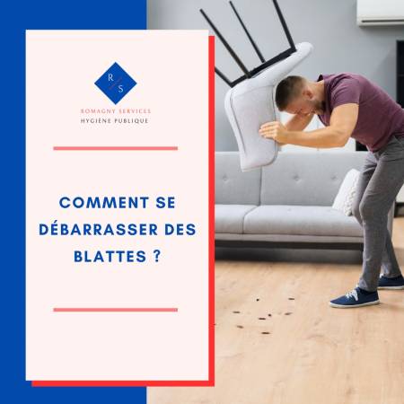 Notre zone d'activité pour ce service Traitement radical contre cafards et blattes dans les canalisations à