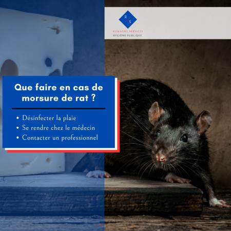 Notre zone d'activité pour ce service Entreprise spécialisée dans le traitement contre les punaises de lit efficace à votre domicile