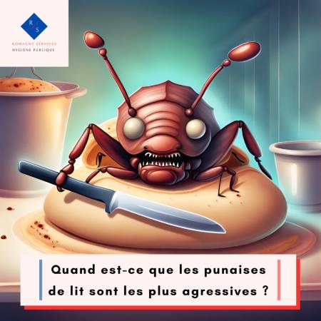 Notre zone d'activité pour ce service Procéder à une désinsectisation complète en traitant méthodiquement les zones infestées par insectes rampants et volants à