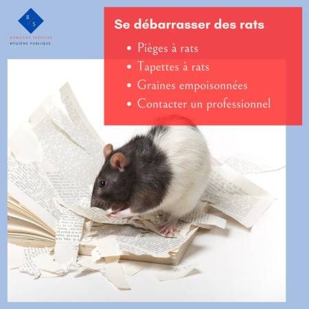 Notre zone d'activité pour ce service Spécialiste en dératisation pour les rats, souris, mulots et sur-mulots en posant des appâts préventifs et des plaques collantes innovantes à