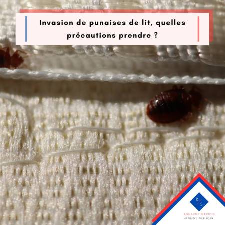 Notre zone d'activité pour ce service Procéder à une désinsectisation complète en traitant méthodiquement les zones infestées par insectes rampants et volants à