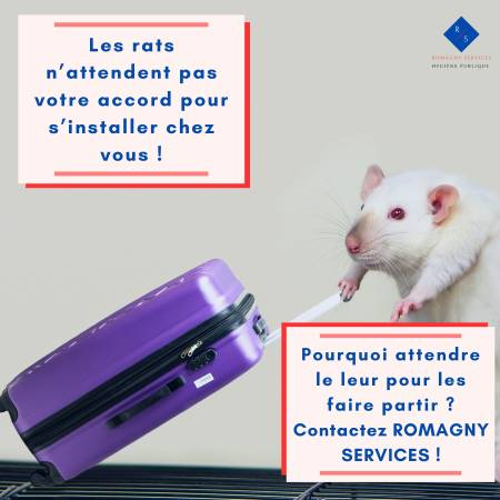 Nos prestations sur le secteur de Valence dans la Drôme 26