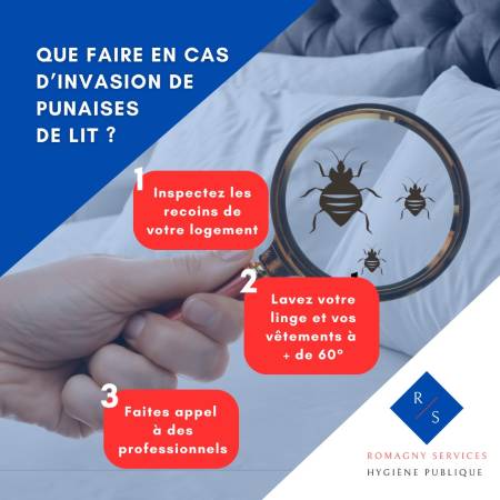 Notre zone d'activité pour ce service Traitement professionnel préventif et curatif contre tous rongeurs maison et garage à
