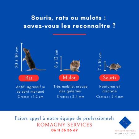 Nos prestations sur le secteur de Tournon-sur-Rhône en Ardèche 07300