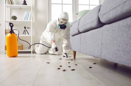 Notre zone d'activité pour ce service Entreprise spécialisée dans le traitement contre les punaises de lit efficace à votre domicile